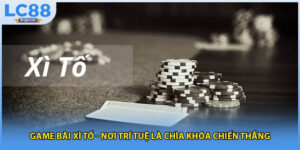 Game Bài Xì Tố - Nơi Trí Tuệ Là Chìa Khóa Chiến Thắng